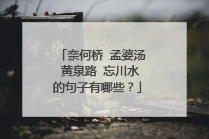 奈何桥 孟婆汤 黄泉路 忘川水的句子有哪些?