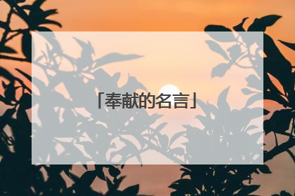 奉献的名言