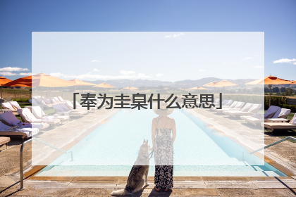 奉为圭臬什么意思