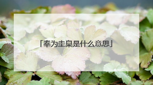 奉为圭臬是什么意思