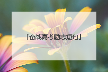 奋战高考励志短句