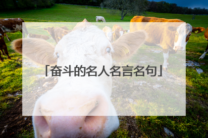 奋斗的名人名言名句