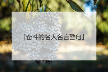 奋斗的名人名言警句