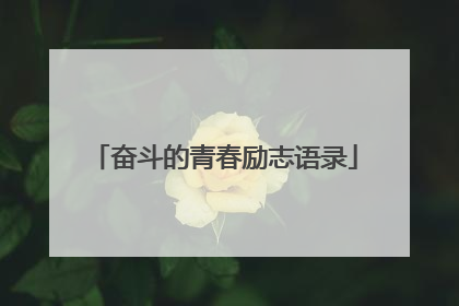 奋斗的青春励志语录