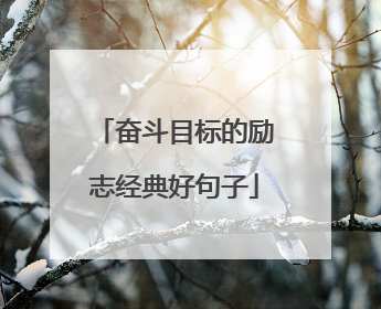 奋斗目标的励志经典好句子