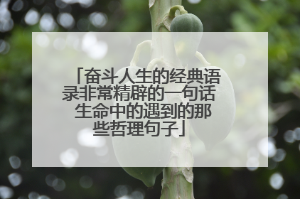 奋斗人生的经典语录非常精辟的一句话 生命中的遇到的那些哲理句子