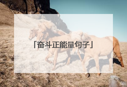 奋斗正能量句子