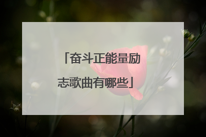 奋斗正能量励志歌曲有哪些