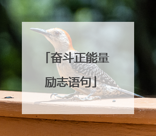 奋斗正能量励志语句