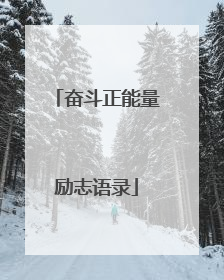 奋斗正能量励志语录