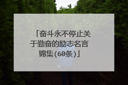 奋斗永不停止关于勤奋的励志名言锦集(60条)