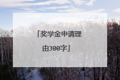 奖学金申请理由300字