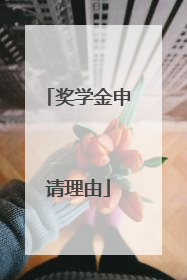 奖学金申请理由