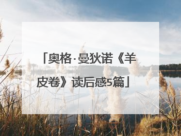 奥格·曼狄诺《羊皮卷》读后感5篇