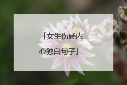 女生伤感内心独白句子