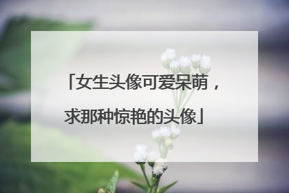 女生头像可爱呆萌,求那种惊艳的头像