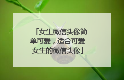 女生微信头像简单可爱,适合可爱女生的微信头像
