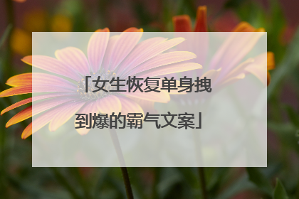 女生恢复单身拽到爆的霸气文案