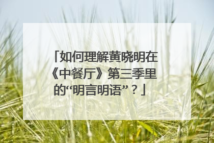 如何理解黄晓明在《中餐厅》第三季里的“明言明语”？
