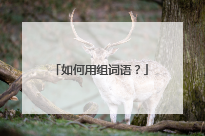 如何用组词语？