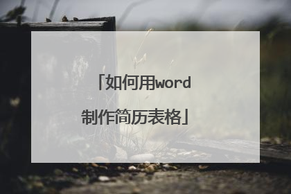 如何用word制作简历表格