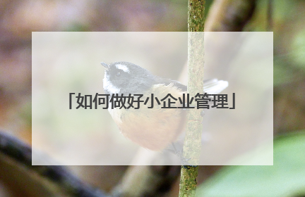 如何做好小企业管理