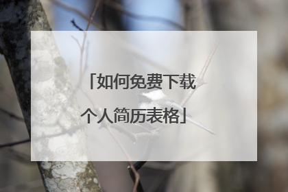 如何免费下载个人简历表格