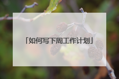 如何写下周工作计划