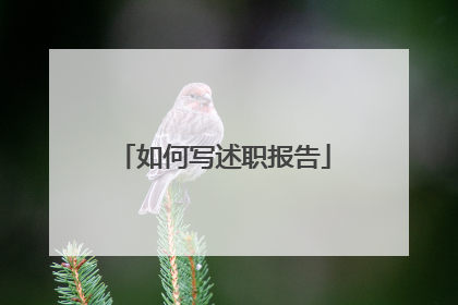 如何写述职报告