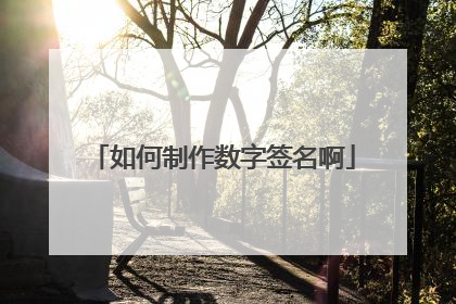 如何制作数字签名啊