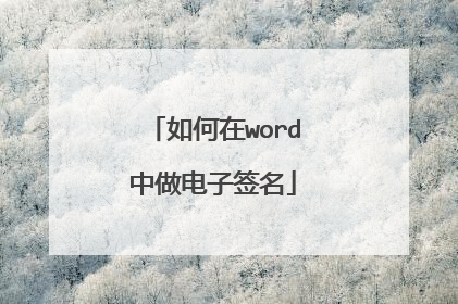如何在word中做电子签名