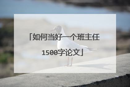 如何当好一个班主任 1500字论文