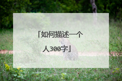 如何描述一个人300字