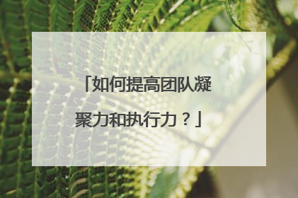 如何提高团队凝聚力和执行力?