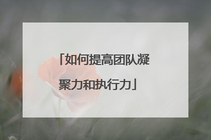 如何提高团队凝聚力和执行力