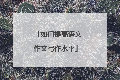 如何提高语文作文写作水平