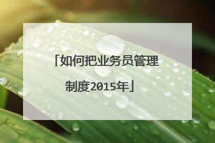 如何把业务员管理制度2015年
