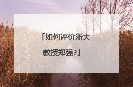 如何评价浙大教授郑强?