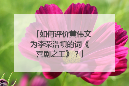如何评价黄伟文为李荣浩填的词《喜剧之王》？