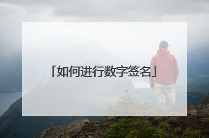 如何进行数字签名