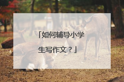 如何辅导小学生写作文?