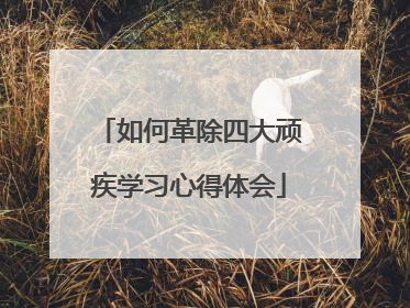 如何革除四大顽疾学习心得体会