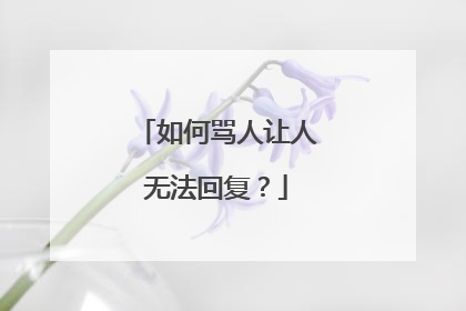 如何骂人让人无法回复？