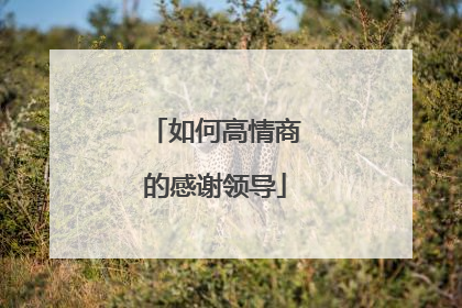 如何高情商的感谢领导