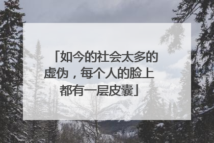 如今的社会太多的虚伪，每个人的脸上都有一层皮囊