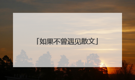 如果不曾遇见散文