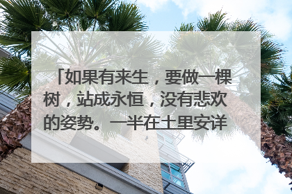 如果有来生,要做一棵树,站成永恒,没有悲欢的姿势。一半在土里安详,一半在风里飞扬。出自三毛哪本书?