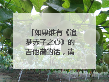 如果谁有《追梦赤子之心》的吉他谱的话，请上传一下，谢谢，我有急用。