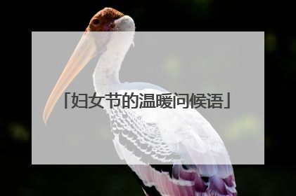 妇女节的温暖问候语