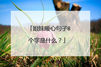 姐妹暖心句子8个字是什么？
